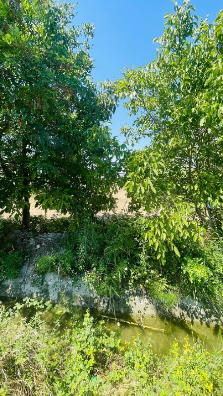 Дом с фруктовым садом, 100 м², участок 1950 м²