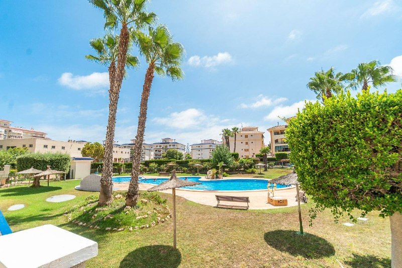 Квартира 1 спальня у моря La Mata, 800 €/месяц