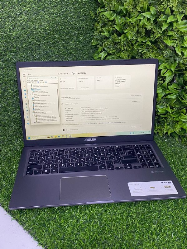 Asus 15.6